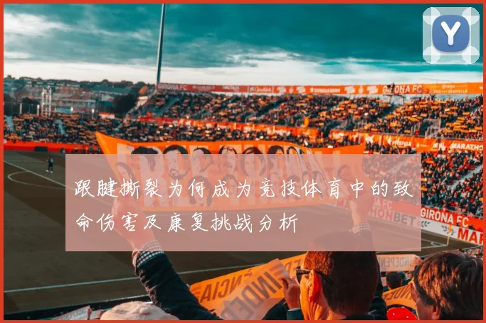 跟腱撕裂为何成为竞技体育中的致命伤害及康复挑战分析