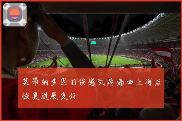 莱昂纳多因旧伤感到疼痛回上海后恢复进展良好